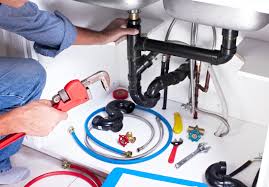 Best Garbage Disposal Repair and Installation  in Taylorvle, IL